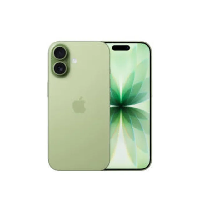 애플 아이폰 17 자급제 256GB, 세이지